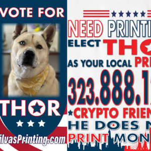 Vinyl Banners